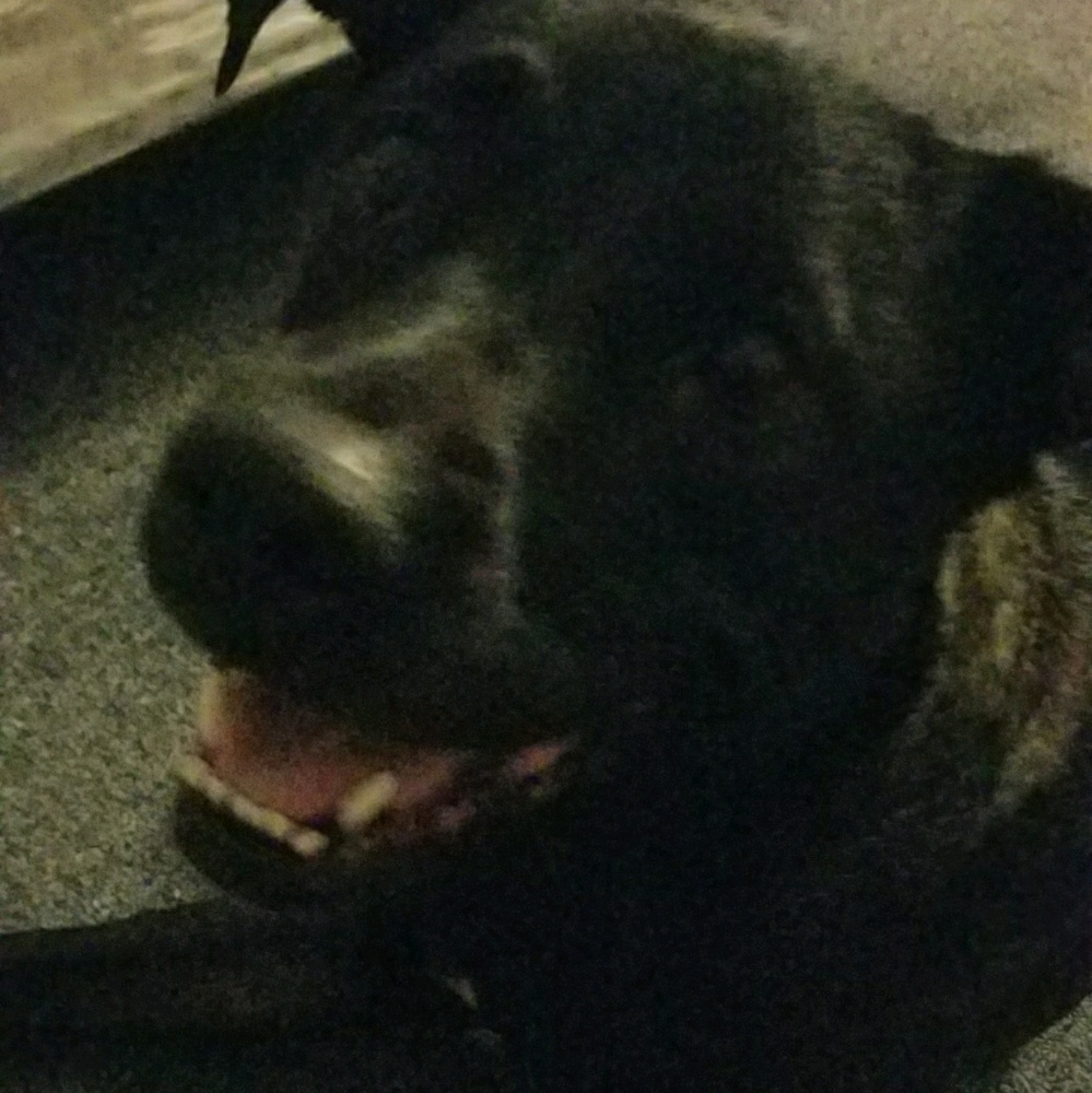 Meet your Posher, Jya